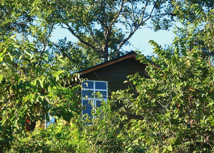 Central Province Sigiriya Room
