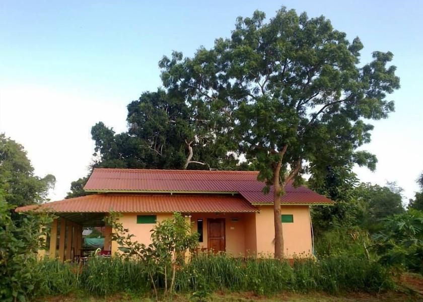 Anuradhapura District Nochchiyagama Interior Entrance