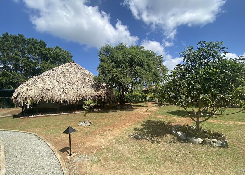 Hambantota District Tissamaharama Exterior Detail