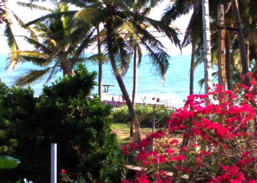 Puttalam District Marawila Primary image