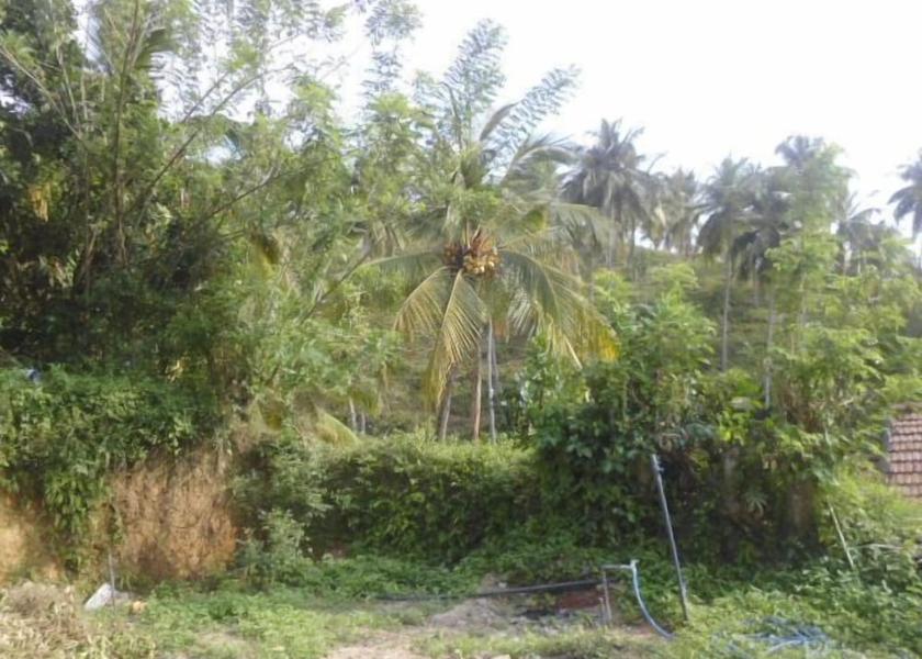 Matara District Mirissa Exterior Detail