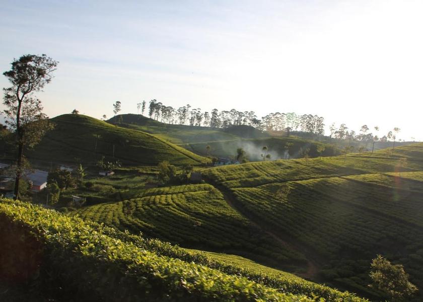 Uva Province Haputhale Exterior Detail