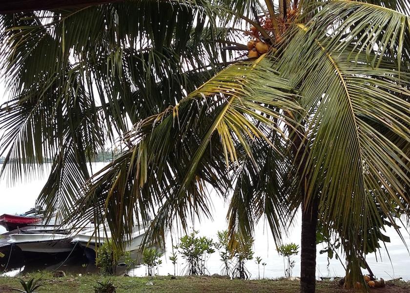 Galle District Bentota View from Property