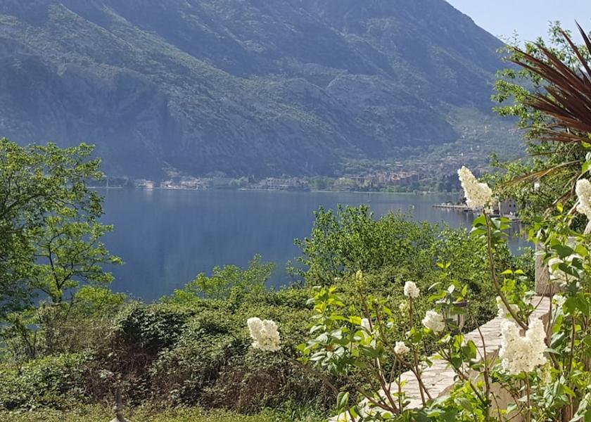 Kotor Municipality Kotor View from property