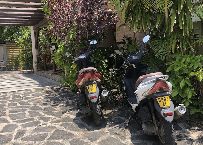  Tamarin Scooter/Moped