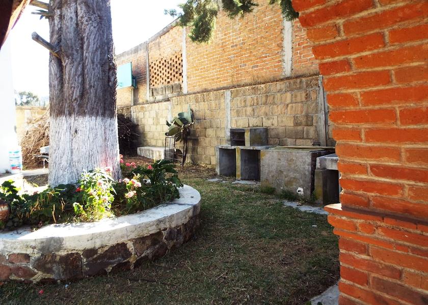 Querétaro Amealco Barbeque