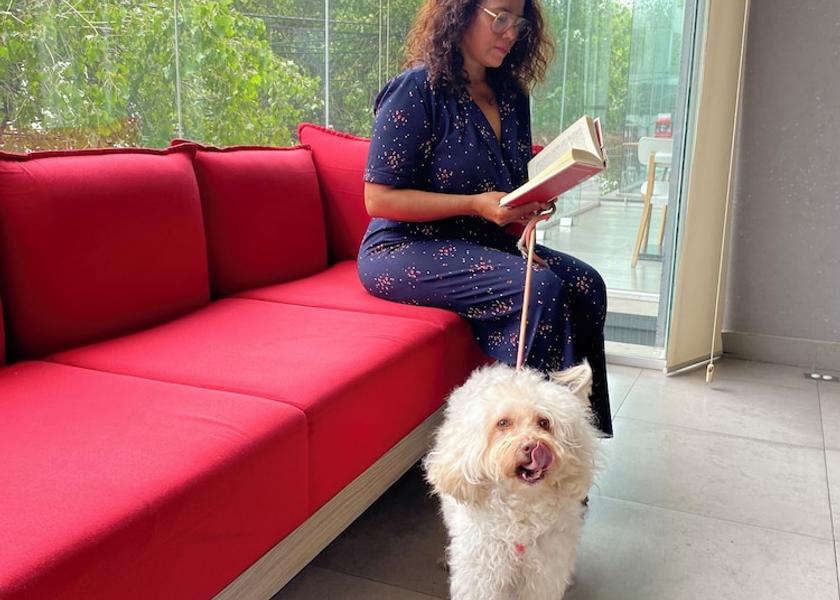  Tlalnepantla de Baz Pet-Friendly