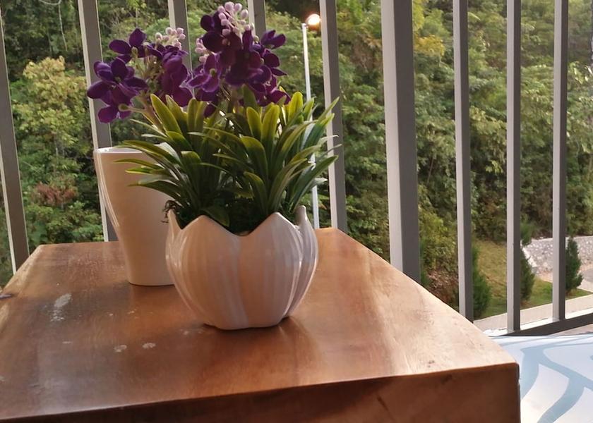 Pahang Tanah Rata View from Property