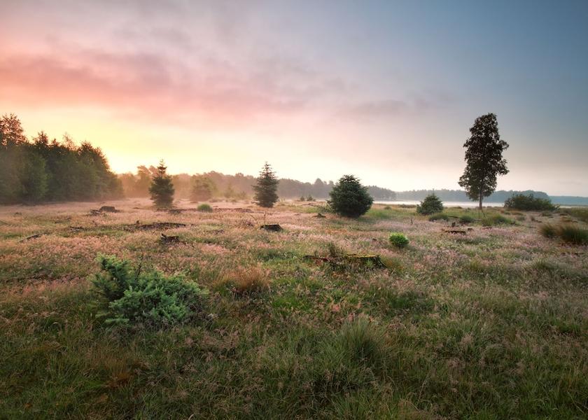 Drenthe Assen Hiking