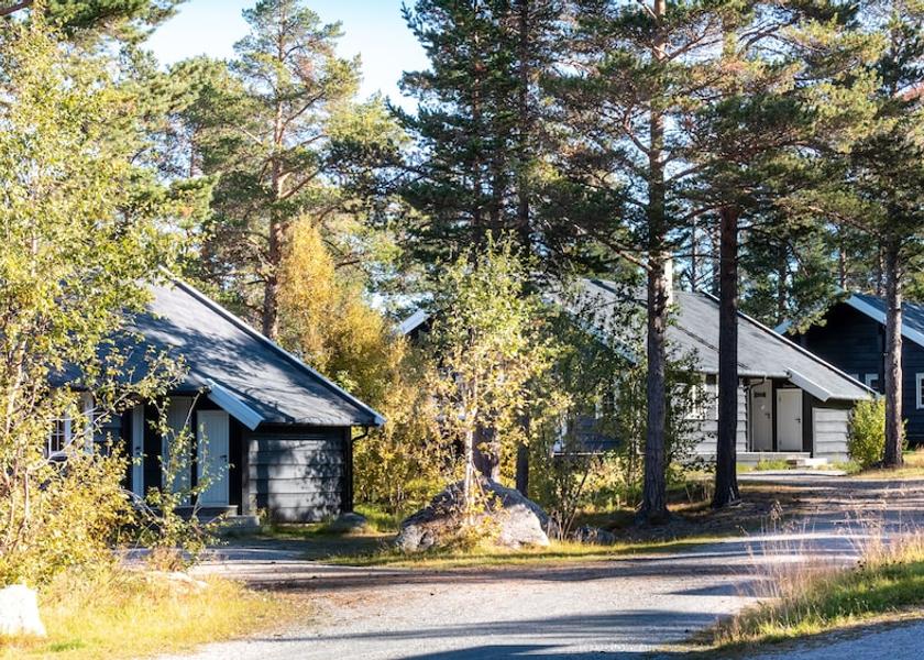 Buskerud (county) Hol Facade