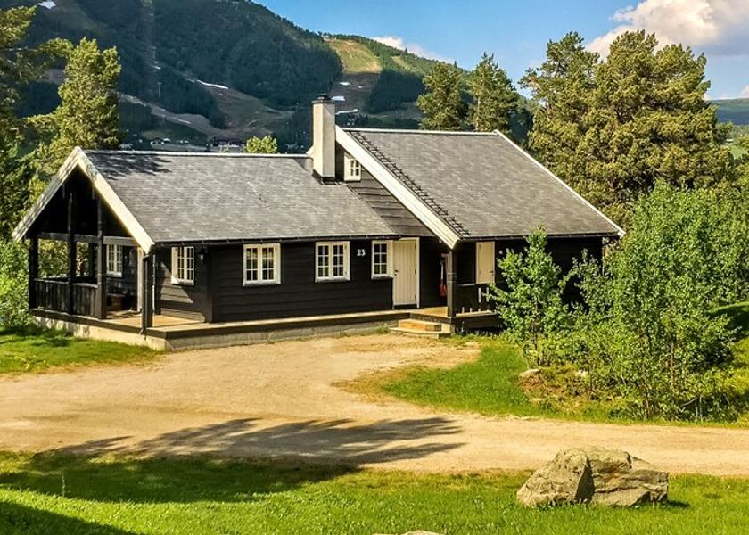 Buskerud (county) Hol Facade