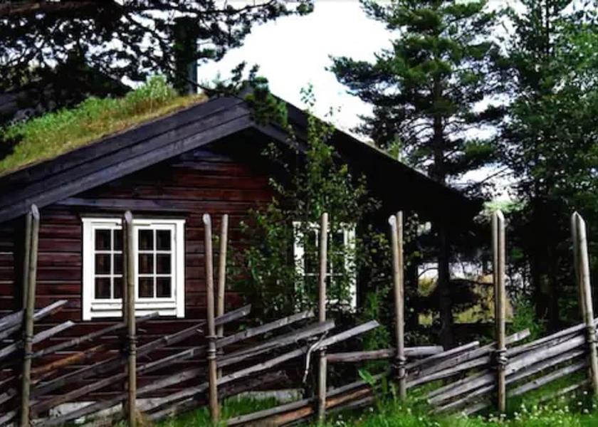 Buskerud (county) Hol Exterior Detail