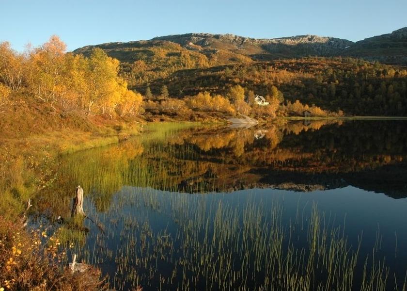 Hordaland (county) Voss Hiking