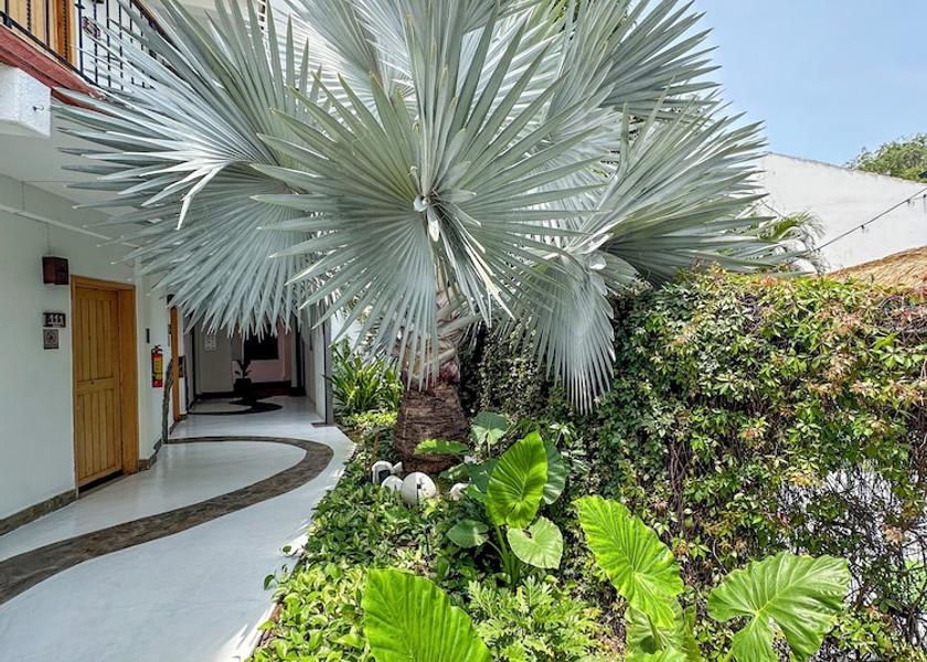 Oaxaca Santa María Huatulco Garden