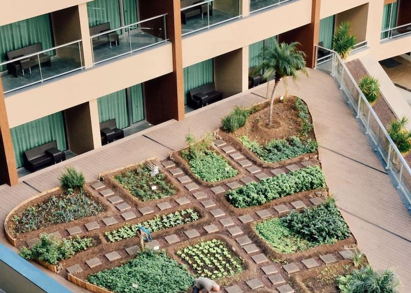 Madeira Funchal Garden
