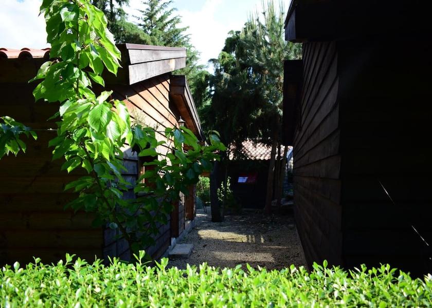 Viseu Moimenta da Beira Property Grounds