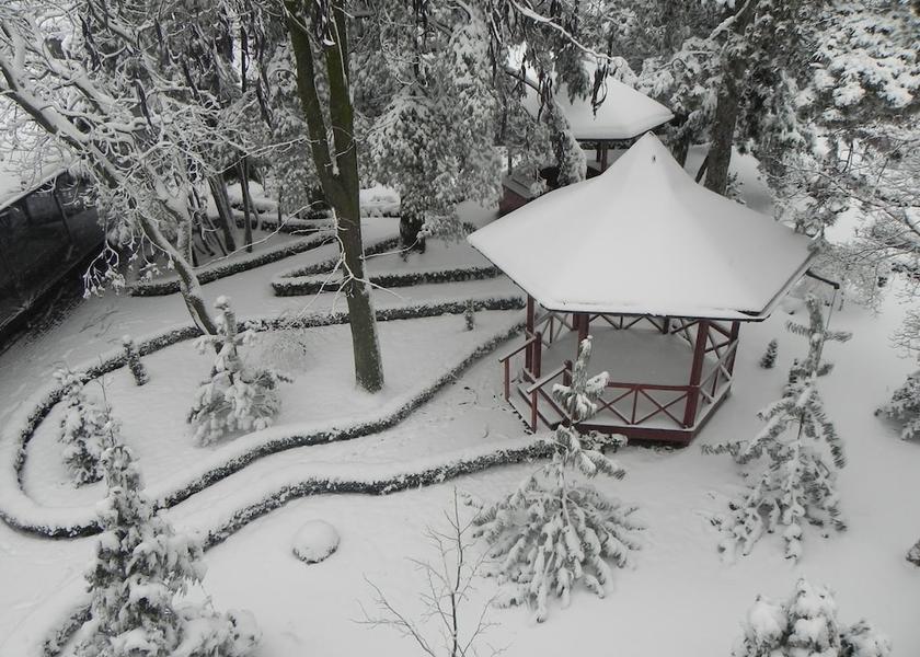  Bucharest Property Grounds