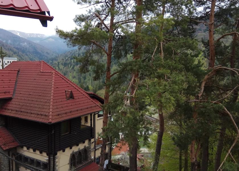 Prahova County Sinaia Balcony