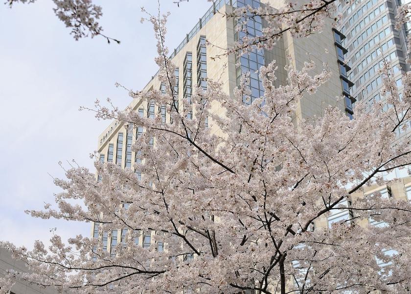 Tokyo Tokyo Exterior