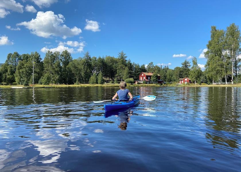 Varmland County Torsby Safari and game