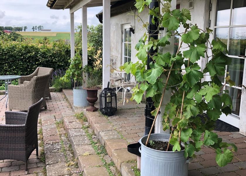 Skåne County Simrishamn Courtyard