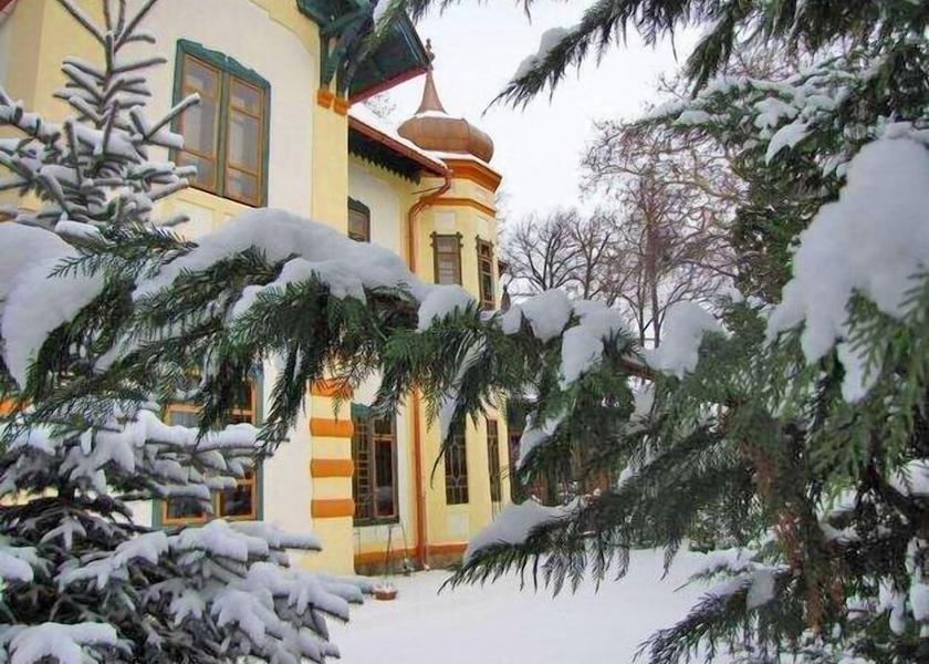  Nitra Exterior Detail