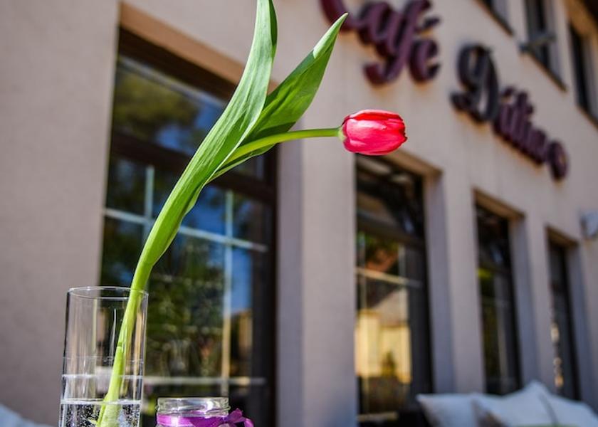  Kosice Exterior Detail