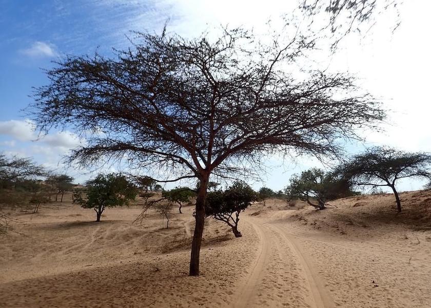  Lompoul Property Grounds