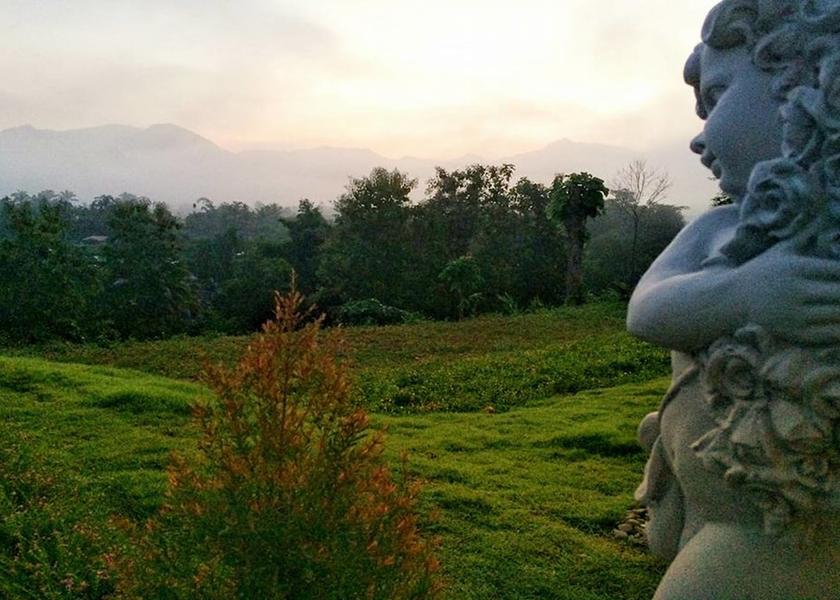 Nan Pua Property Grounds