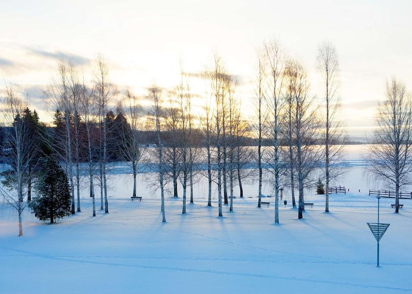 Gävleborg County Bollnas Park view