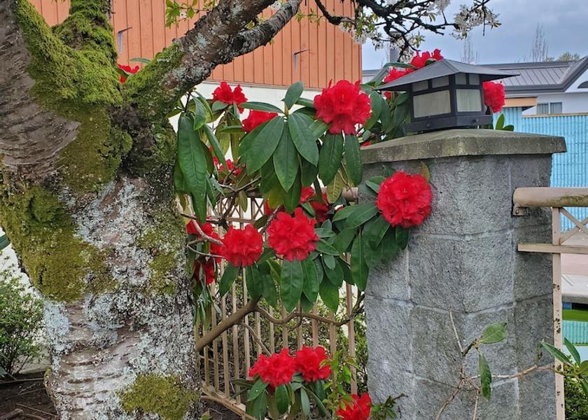 British Columbia District of North Vancouver Exterior