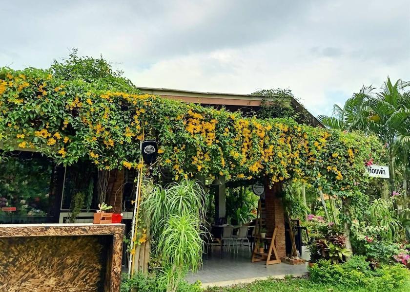 Chumphon Pathio Exterior Detail