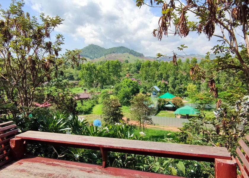 Chiang Rai Province Wiang Pa Pao 