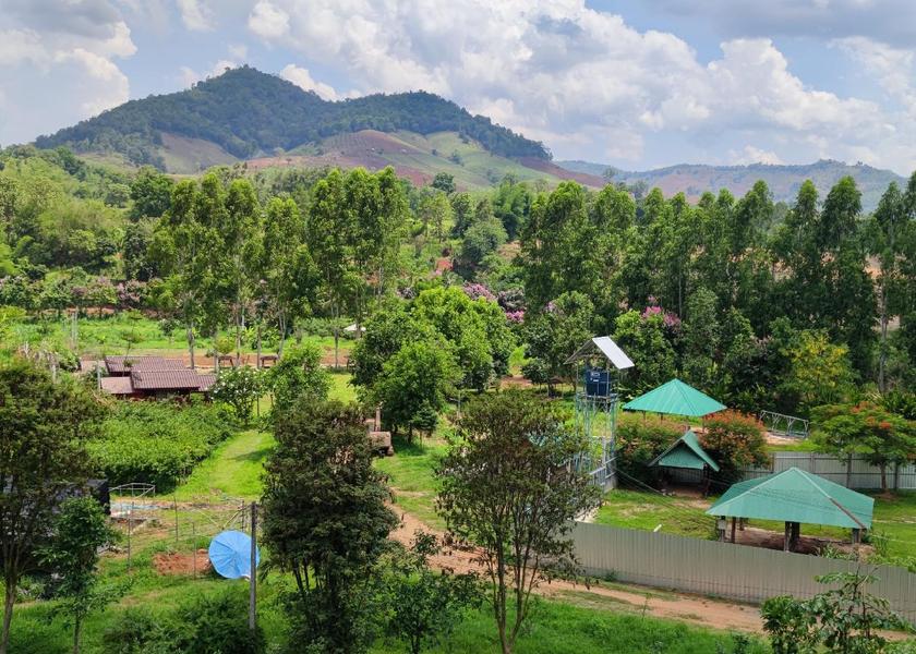 Chiang Rai Province Wiang Pa Pao 
