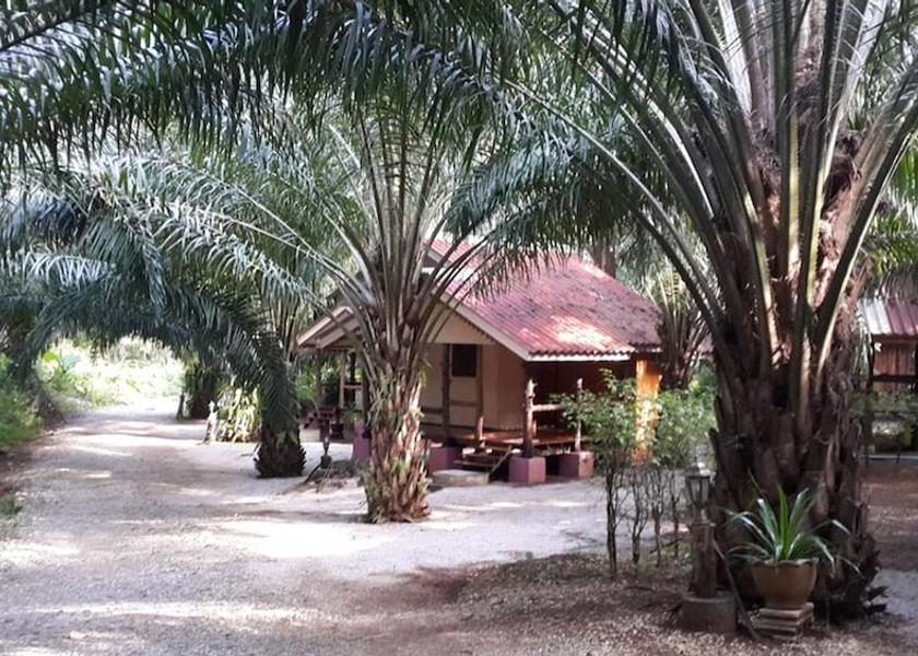 Surat Thani Province Khiri Rat Nikhom Property Grounds