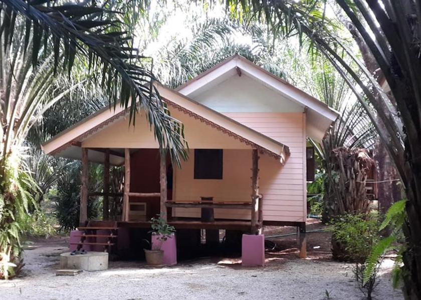 Surat Thani Province Khiri Rat Nikhom Primary image