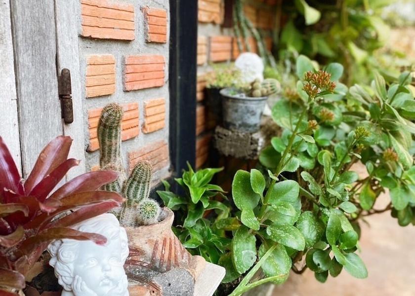 Sakon Nakhon Sakon Nakhon View from Property