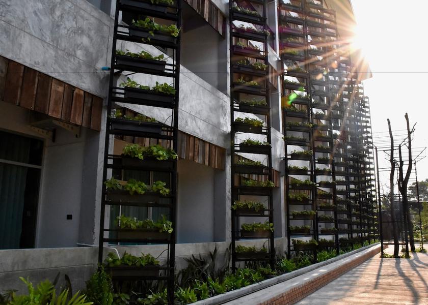 Sakon Nakhon Sakon Nakhon View from Property