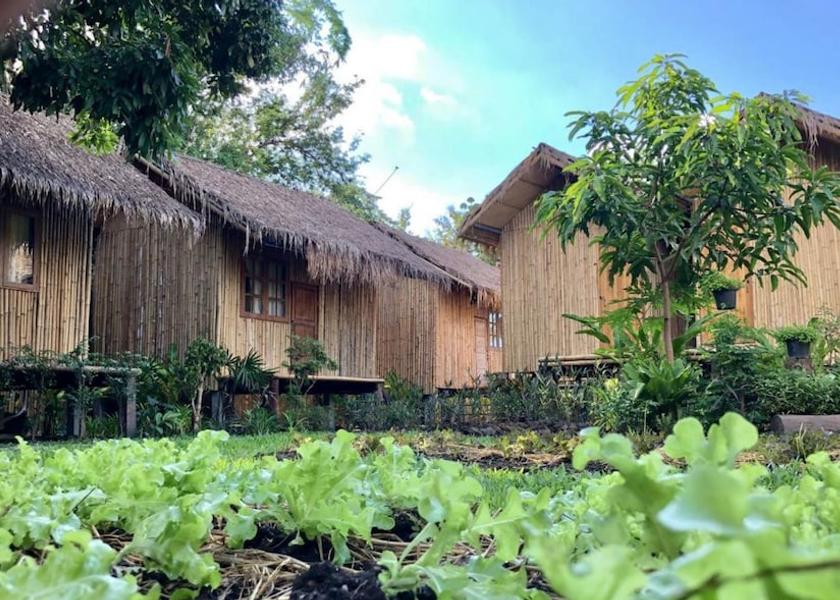 Chiang Mai Province San Kamphaeng Exterior Detail