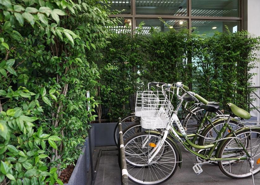 Prachin Buri Province Si Maha Phot Bicycling
