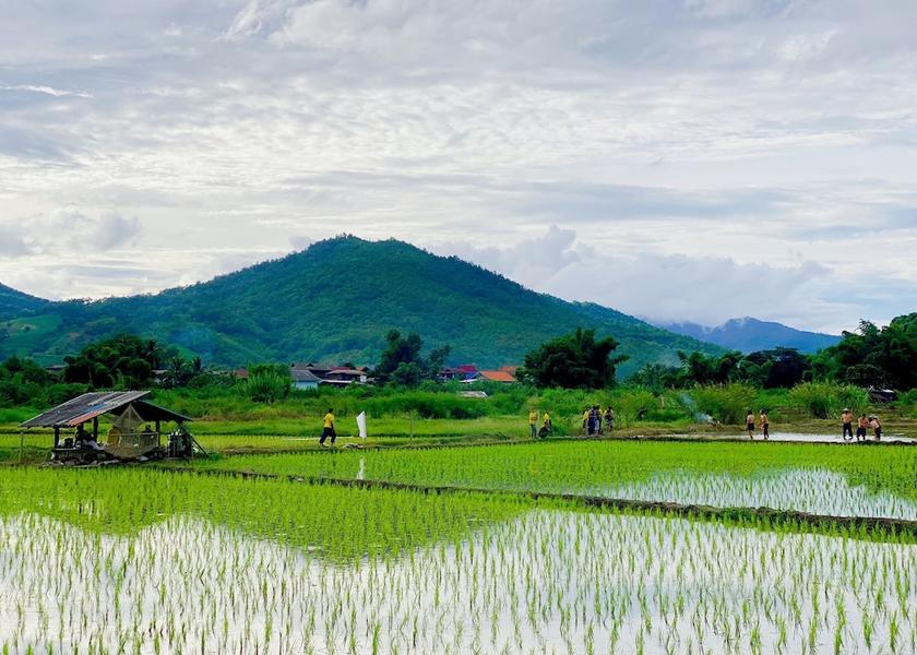 Chiang Mai Province mae chaem Land View from Property