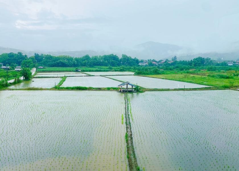 Chiang Mai Province mae chaem Land View from Property