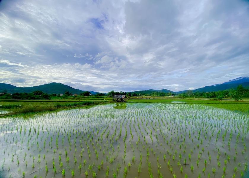 Chiang Mai Province mae chaem Land View from Property