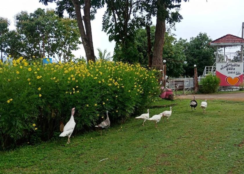 Mae Hong Son Province Khun Yuam Facade