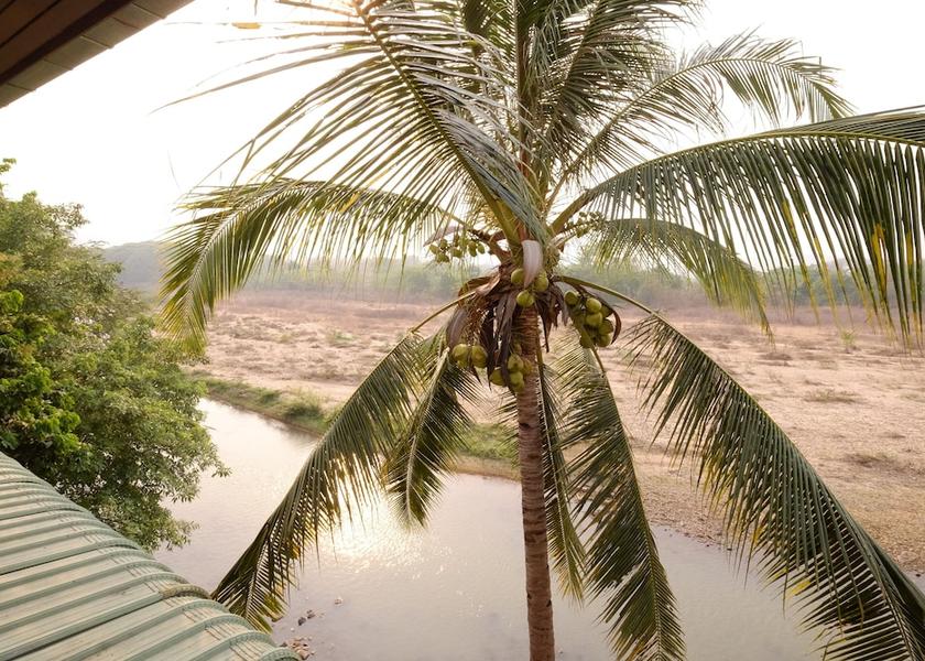 Mae Hong Son Province Mae Sariang View from room