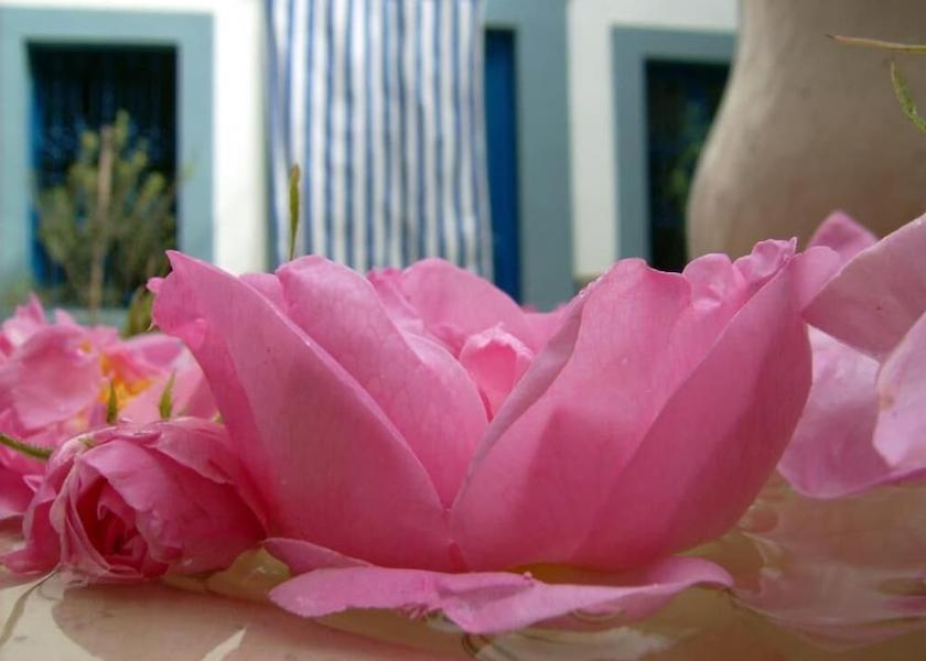  Sousse Exterior Detail