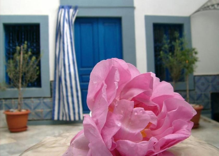  Sousse Exterior Detail