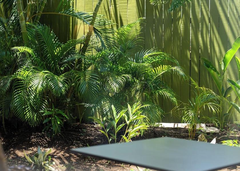 Westmoreland Negril Terrace