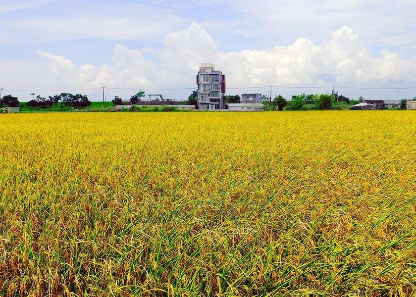 Yilan County Zhuangwei Primary image