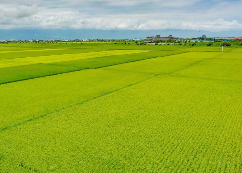 Yilan County Zhuangwei View From Room